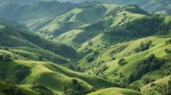 BANGGAI YANG KUCINTA