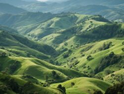 BANGGAI YANG KUCINTA